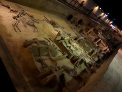 -洛阳周王城天子驾六博物馆