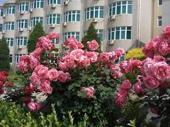 -北戴河集发农业梦想王国