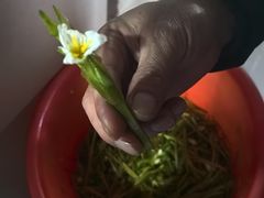 -阿葉农家饭店