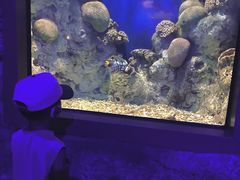 -福州罗源湾海洋世界旅游区