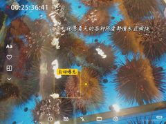 -鲜得莱渔港·小平岛海胆馆(七贤岭店)