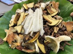 -野菌园·野生菌火锅首创第一家(关兴路总店)