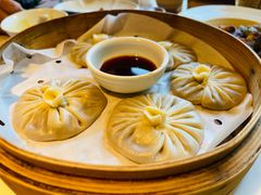 -庆春朴门