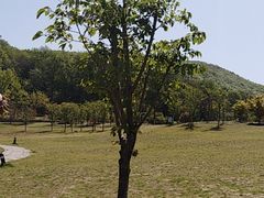 -南山风景名胜区