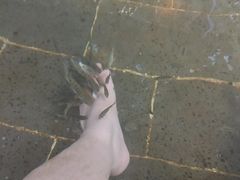 -山湖温泉