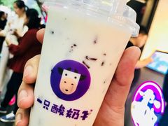 -一只酸奶牛(八一路店)