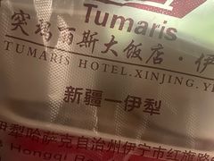 -丝路天山酒店(国际大巴扎店)