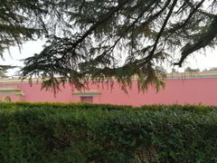 -北京市劳动人民文化宫(太庙)