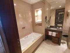 -天鹅湖大酒店