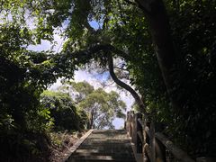 -海口火山口国家地质公园