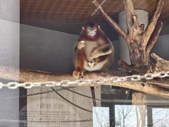 -太原动物园