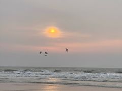 -日照海滨国家森林公园