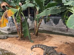 -石家庄市动物园