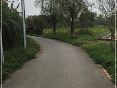 -白鹭湾湿地公园