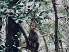 -黔灵山公园