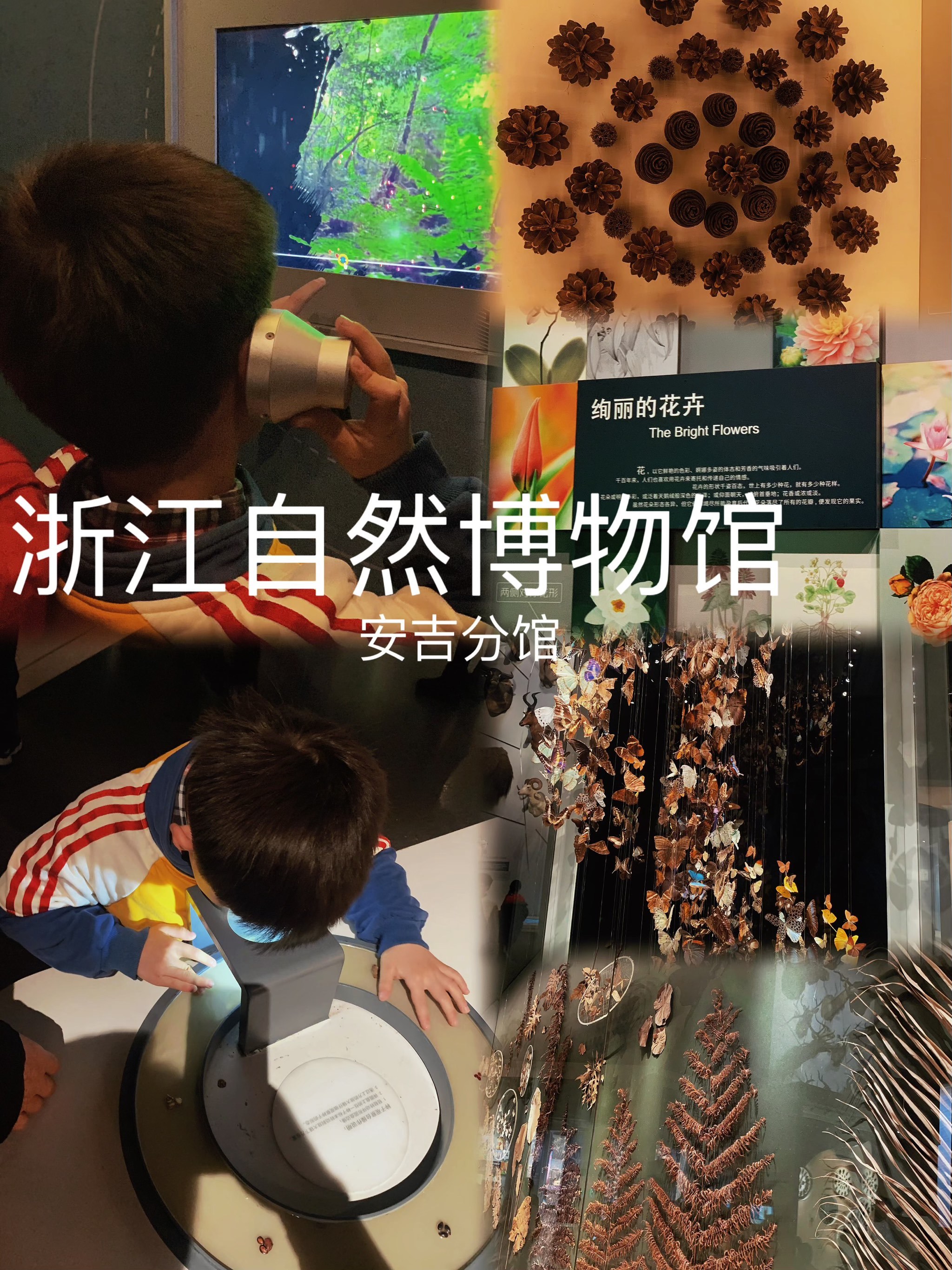 https://qcloud.dpfile.com/pc/ZG45_uj6IIJzFNGxaw2yympTF7XupACNmAeQHYPLeNVkuae_5hKdkDBksjkr0E5dY0q73sB2DyQcgmKUxZFQtw.jpg
