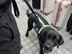 -武汉市民之家