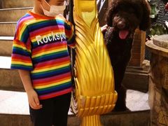 -more than meow吴止猫主题餐厅(承德 中船汇店)