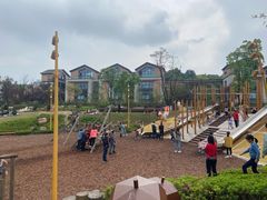 -铁山坪森林公园