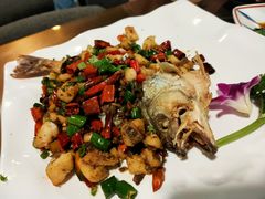 芽菜鲈鱼-庆合府重庆大排档(紫都城店)