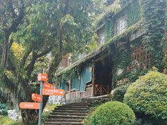 -巴倒烫陆派火锅山庄(南山总店)