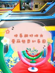 -爱丽丝奇幻乐园