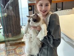 -糯米喵星人总部直营旗舰店·猫舍·幼猫出售