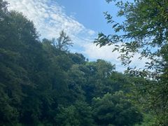 -云碧峰国家森林公园