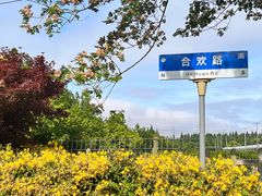 -上海长兴岛郊野公园