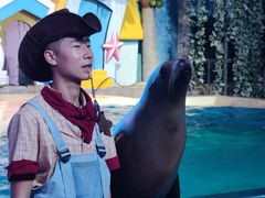 -三亚海昌梦幻海洋不夜城