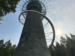 -黄海国家森林公园