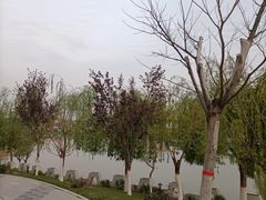-雁滩公园