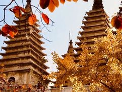 -北京石刻艺术博物馆(五塔寺)