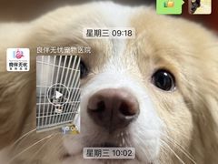 -良伴无忧宠物医院(泰欣嘉园店)