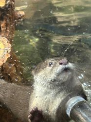 -Zoolung Zoolung动物主题公园(海信广场店)