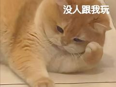 -凯德广场(西城店)