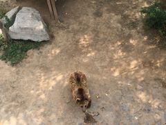 -石家庄极地海洋世界