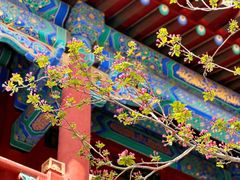 -恭王府博物馆