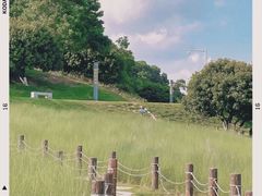 -红花山公园