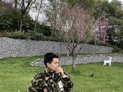 -美丽洲堂