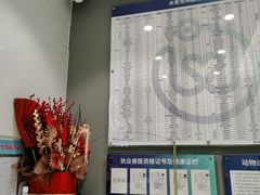 -关爱宠物医院·猫科中心·消化科(滨湖万达分院)