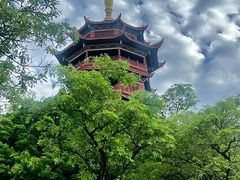 -厦门园林博览苑