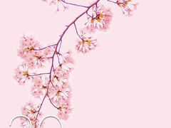 -徐家汇源景区-衡山公园