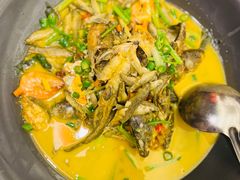 -饭怕鱼·黄焖鲟龙鱼(湖大店)