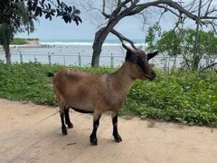 -三亚西岛海洋文化旅游区