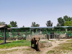 -西安秦岭野生动物园