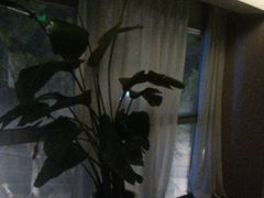 -圣和足道·瑶浴SPA·养生茶府(光华店)