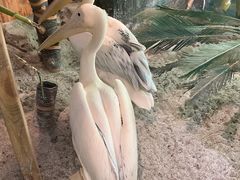 -海合安武汉极地海洋公园