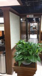 -YESIDO椰岛造型烫发染发