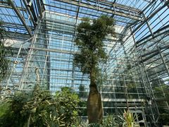 -南山植物园
